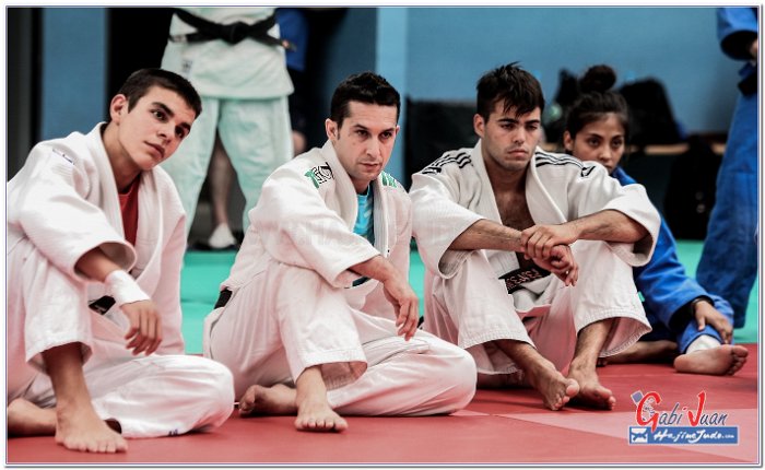 STAGE JUDO MADRID 14 00050